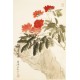 Chrysanthemum - CNAG000782