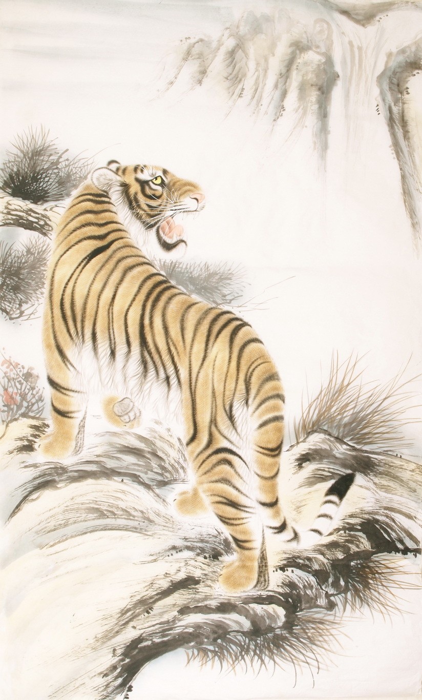 Tiger - CNAG000079