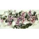 Chinese Grapes Painting - CNAG008038