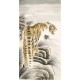 Tiger - CNAG000008