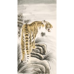 Tiger - CNAG000008