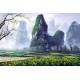 Chinese Landscape Painting - CNAG008092