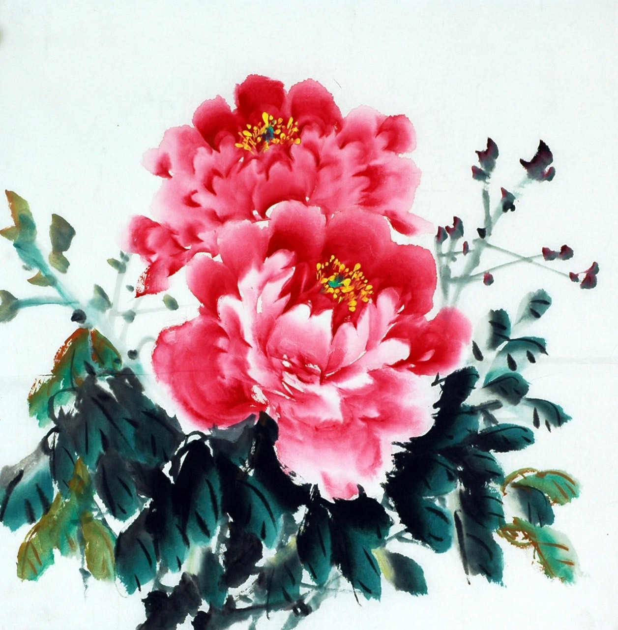 Chinese Peony Painting - CNAG008136