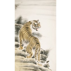 Tiger - CNAG000081