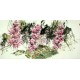 Chinese Grapes Painting - CNAG008261