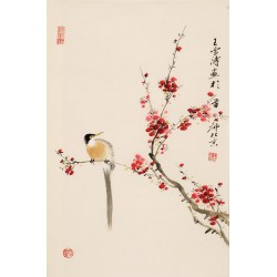 Plum - CNAG000817