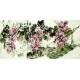 Chinese Grapes Painting - CNAG008264