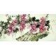 Chinese Grapes Painting - CNAG008267