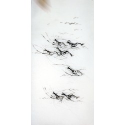 Chinese Shrimp Painting - CNAG008270