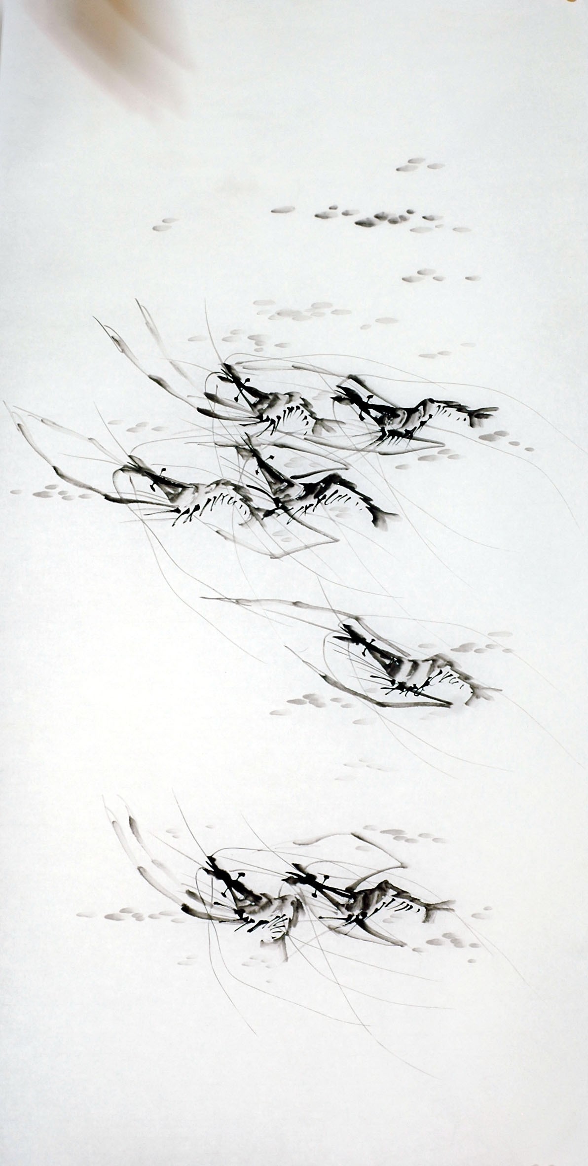 Chinese Shrimp Painting - CNAG008270