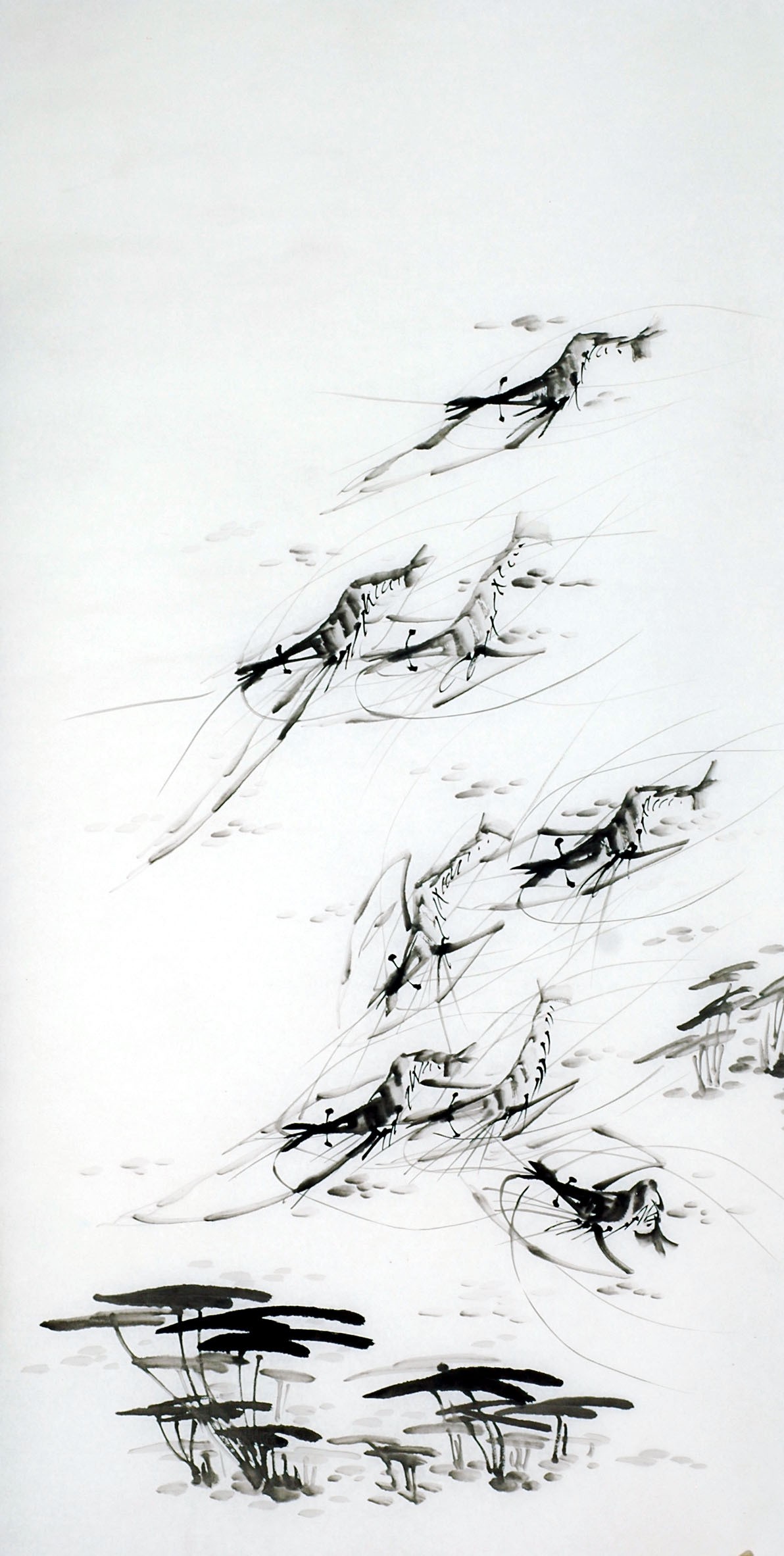 Chinese Shrimp Painting - CNAG008271