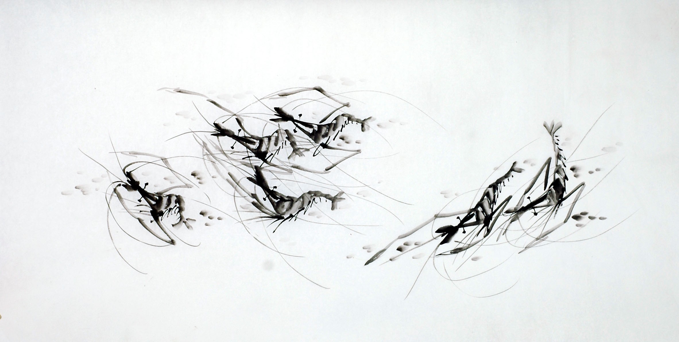 Chinese Shrimp Painting - CNAG008276