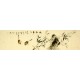 Chinese Flowers&Trees Painting - CNAG008326