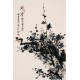 Plum - CNAG000824