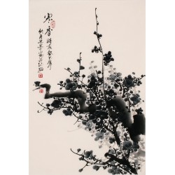 Plum - CNAG000824