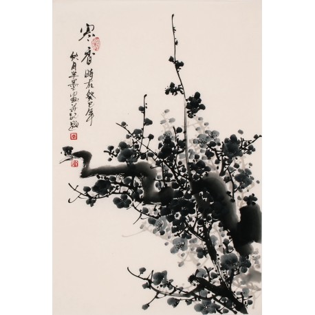 Plum - CNAG000824
