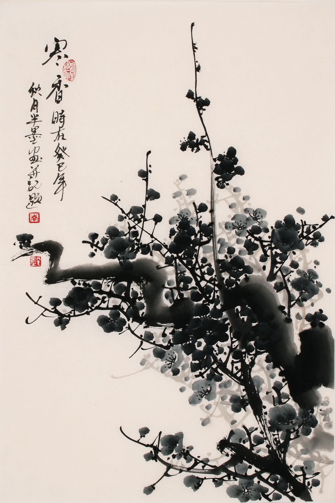 Plum - CNAG000824