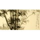 Chinese Bamboo Painting - CNAG008346