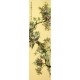Chinese Peony Painting - CNAG008352
