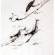 Chinese Shrimp Painting - CNAG008410