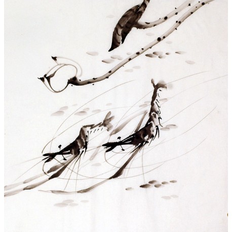 Chinese Shrimp Painting - CNAG008410