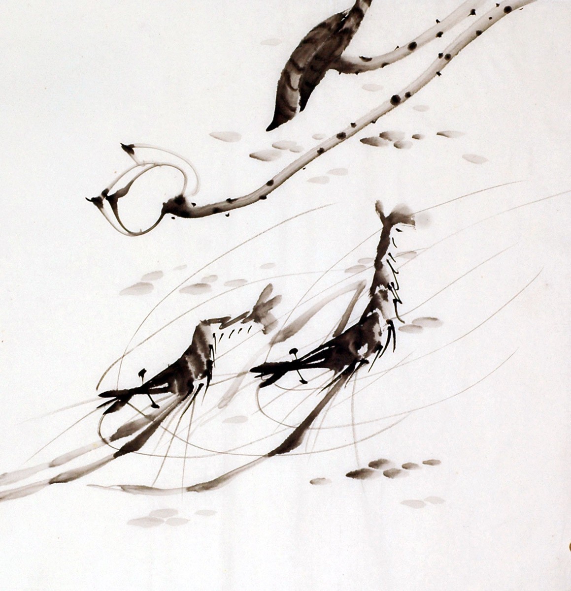 Chinese Shrimp Painting - CNAG008410