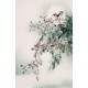 Peach Blossom - CNAG000833