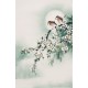 Other Birds - CNAG000835