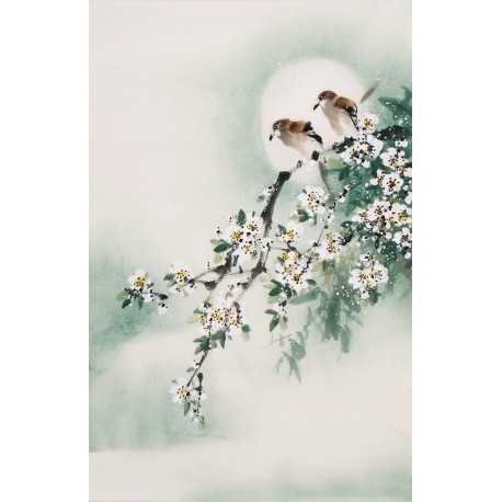 Other Birds - CNAG000835