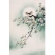 Other Birds - CNAG000836