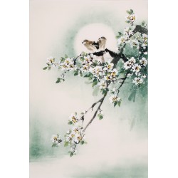 Other Birds - CNAG000836