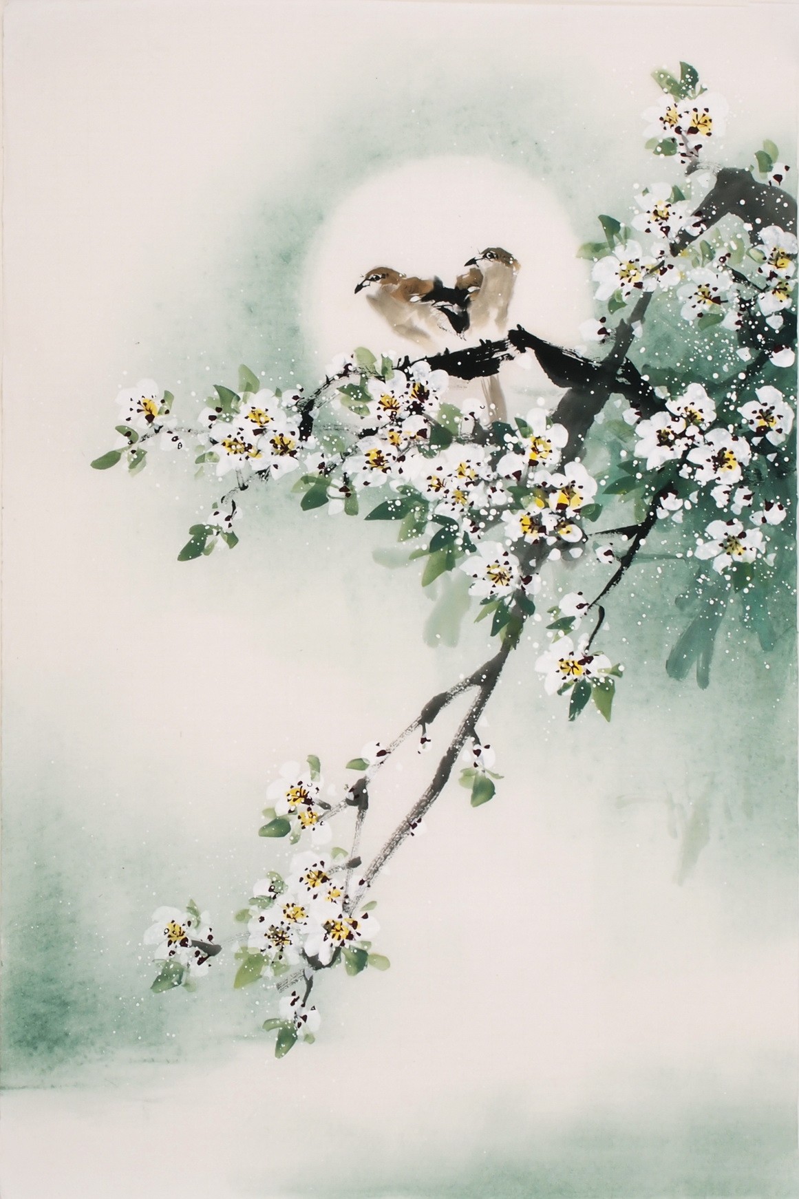 Other Birds - CNAG000836