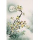 Peach Blossom - CNAG000837