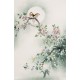 Peach Blossom - CNAG000838