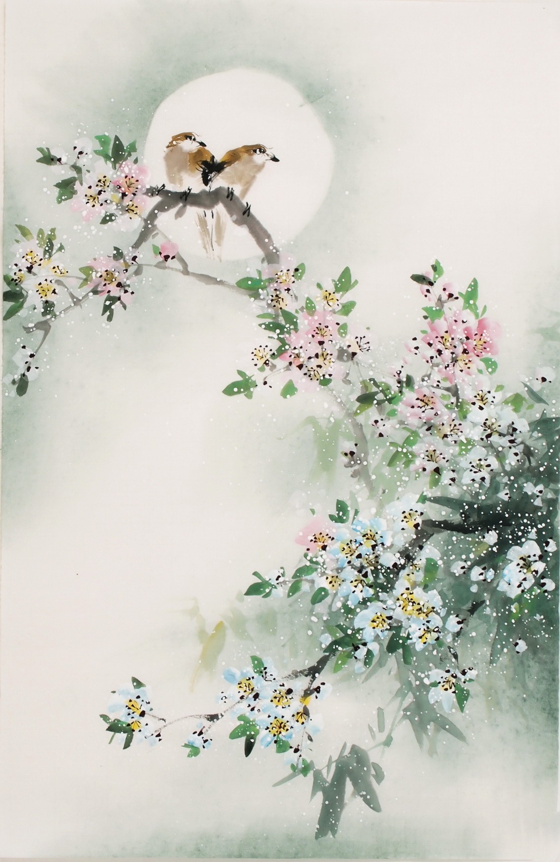 Peach Blossom - CNAG000838