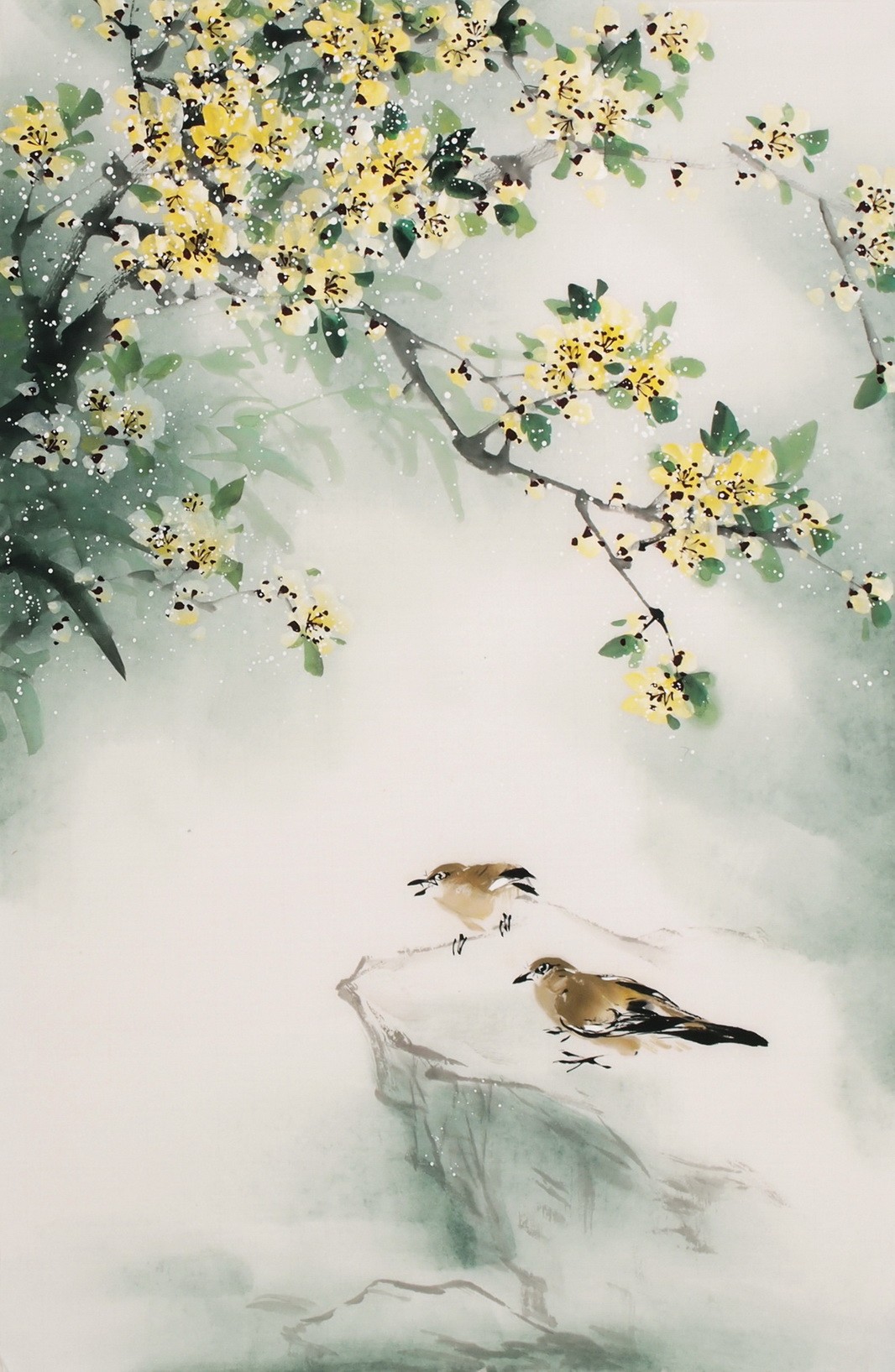 Peach Blossom - CNAG000839