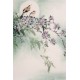 Peach Blossom - CNAG000840
