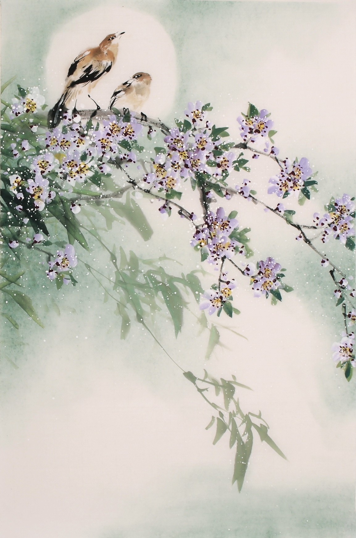 Peach Blossom - CNAG000840