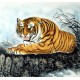 Chinese Tiger Painting - CNAG008497