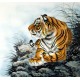 Chinese Tiger Painting - CNAG008501