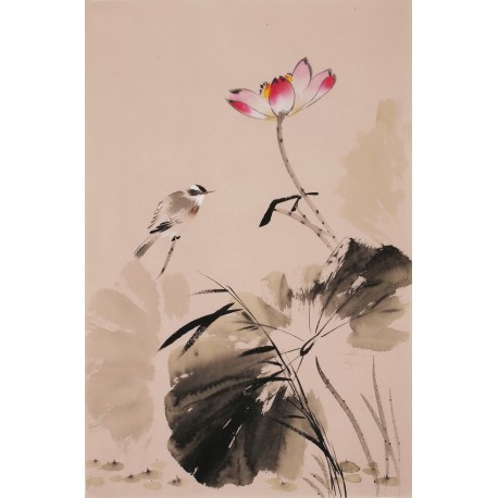 Lotus - CNAG000841