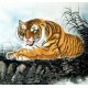 Chinese Tiger Painting - CNAG008513