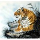 Chinese Tiger Painting - CNAG008517