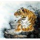 Chinese Tiger Painting - CNAG008519