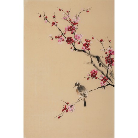 Plum - CNAG000849