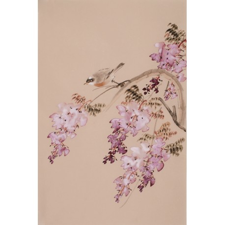 Wisteria - CNAG000851