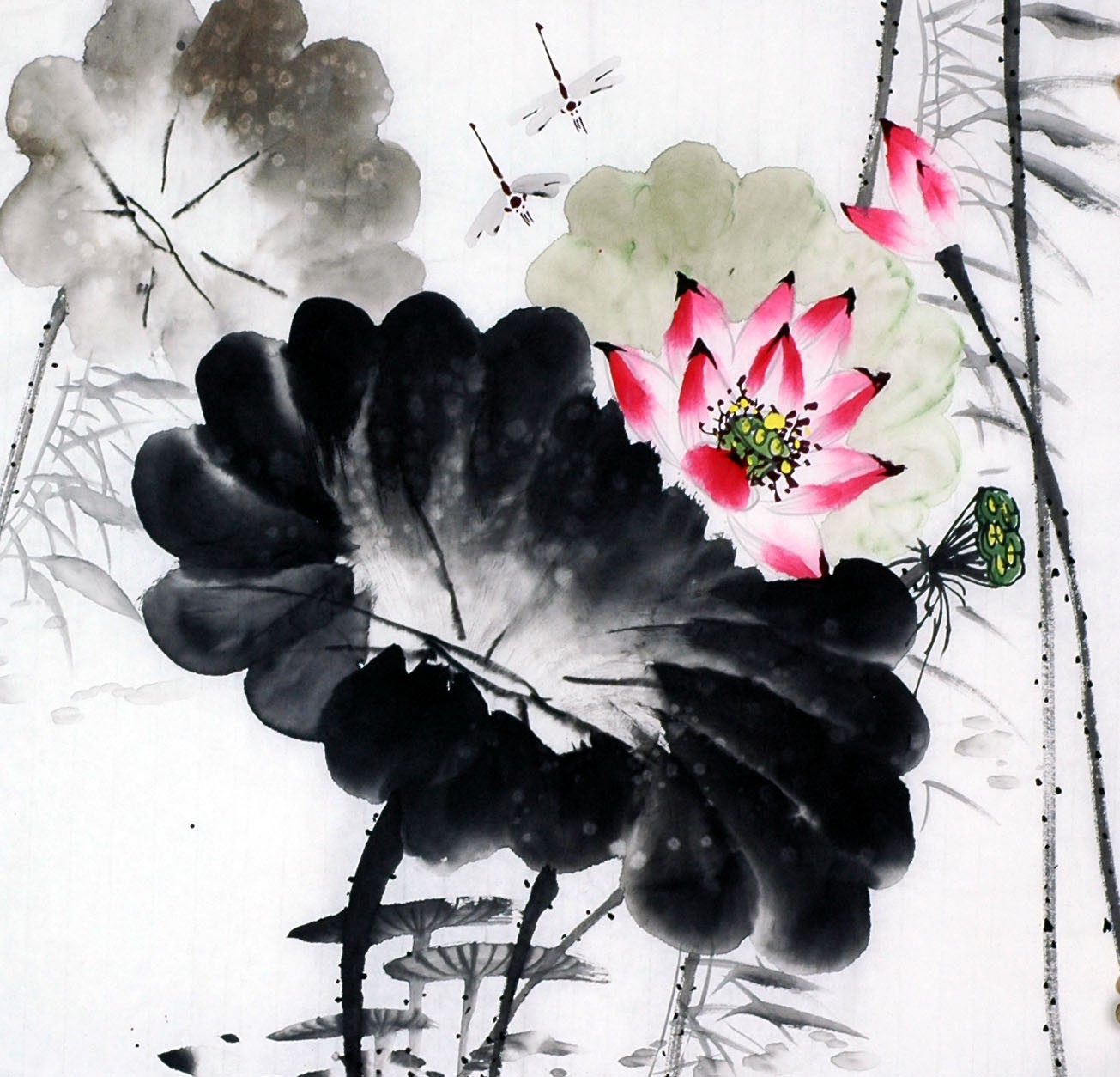 Chinese Lotus Painting - CNAG008679