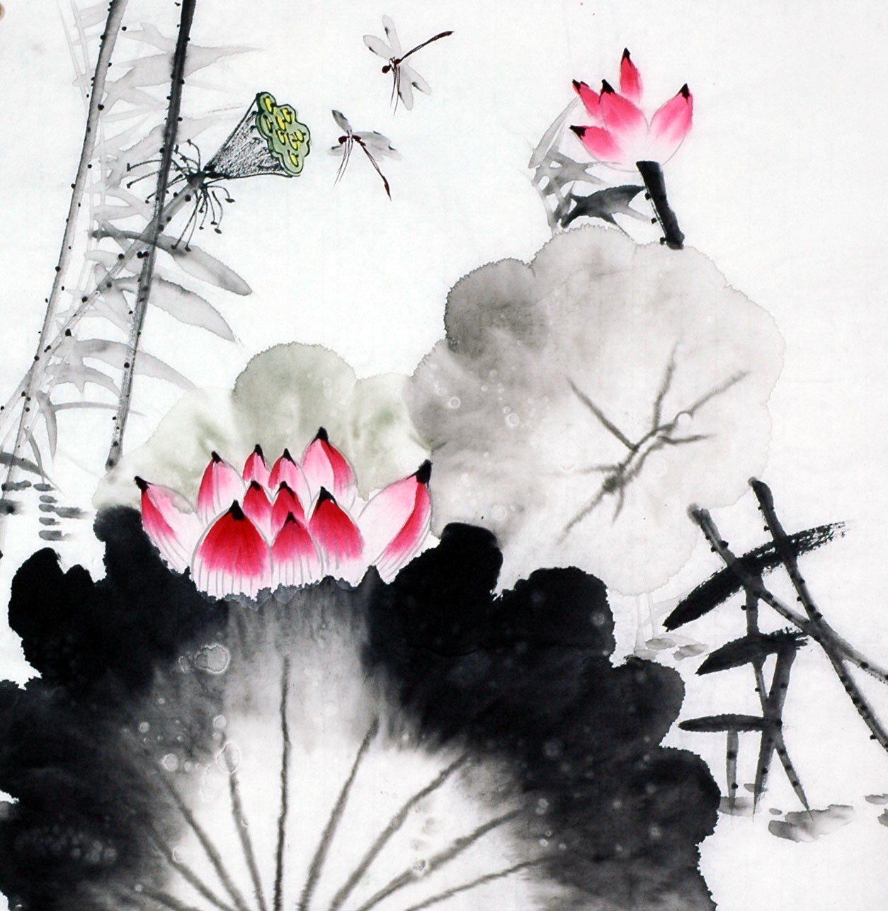 Chinese Lotus Painting - CNAG008680