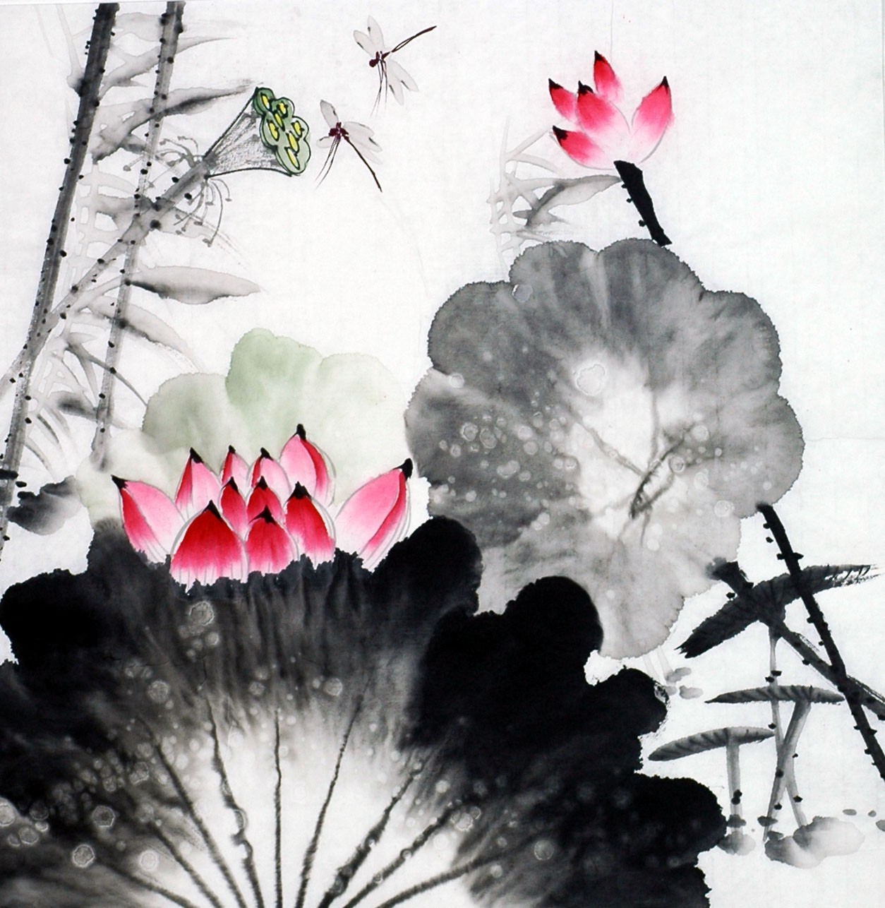 Chinese Lotus Painting - CNAG008681