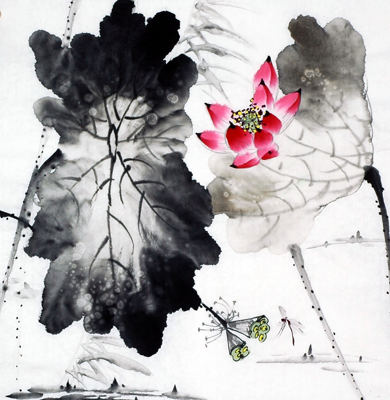 Chinese Lotus Painting - CNAG008685